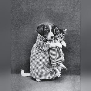 Vintage Black and White Animal Print